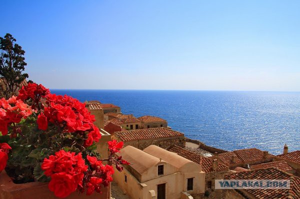 Картинки из сети (07.04.16)