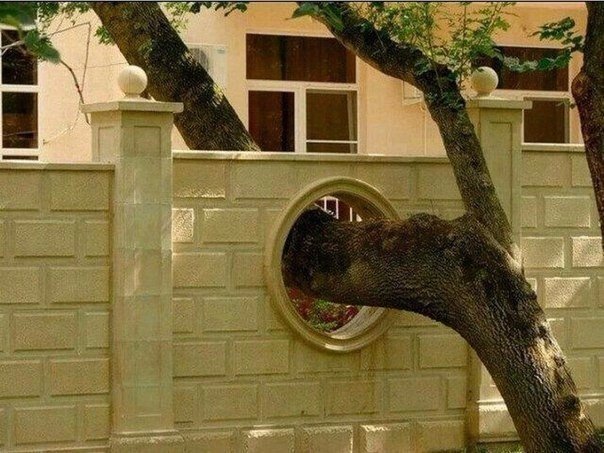 Подборка интересных и веселых картинок