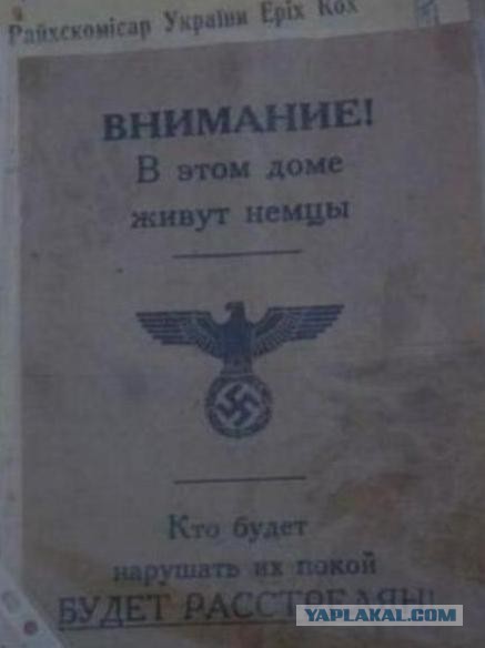Расстрелы