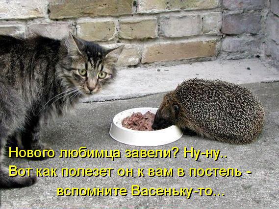 Мохнатые беспредельщики