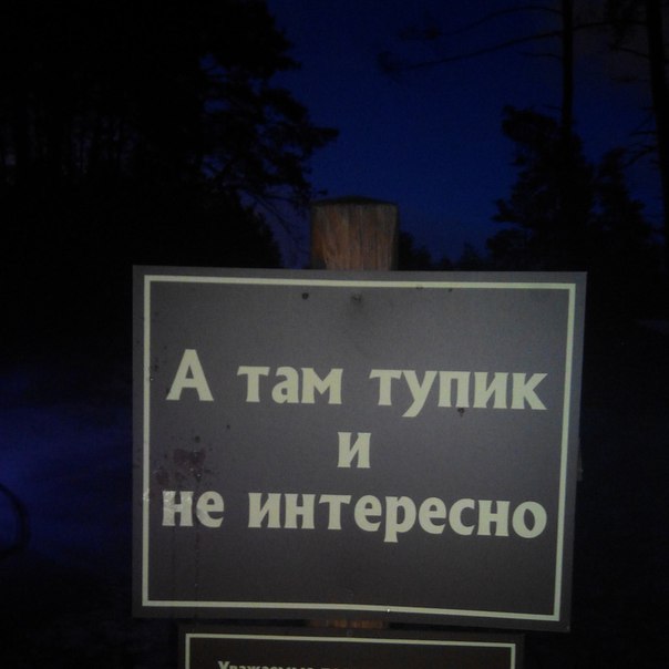 Подборка интересных и веселых картинок