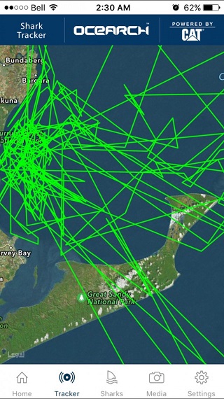 Передвижения кошки за один день, записанные с помощью GPS