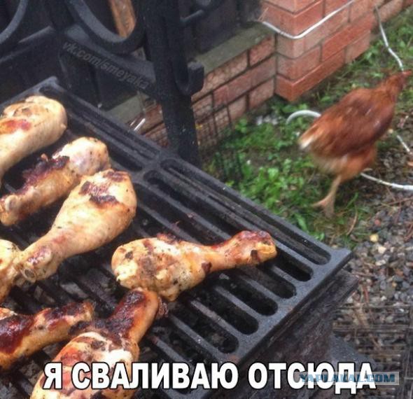 Ужасы и приколы из соцсетей 18+