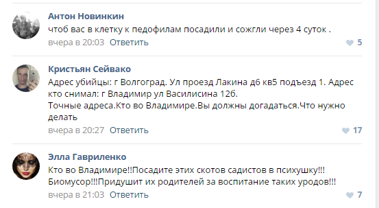 Во Владимире подростки сняли на видео жестокое убийство котёнка