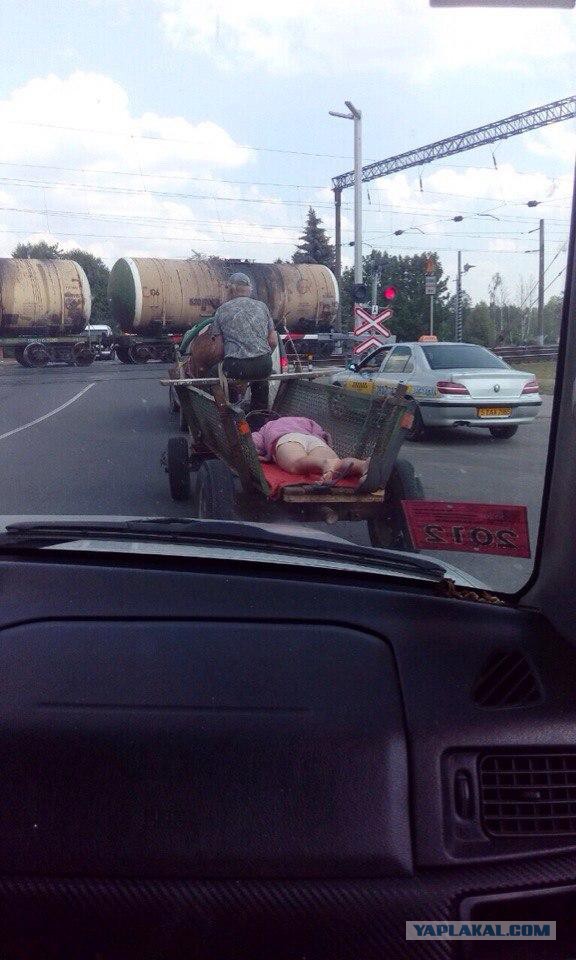 Ужасы и приколы из соцсетей 18+