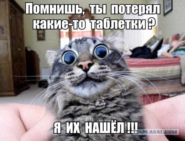 Подборка частицы смеха...