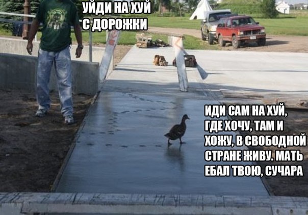 Смешные комментарии из социальных сетей 28.10.2016