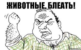 В Тюменском селе чиновники «добыли» новогоднюю елку в палисаднике у старушки