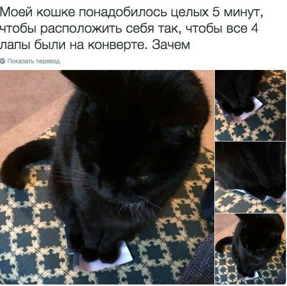 Забавные картинки вразнобой