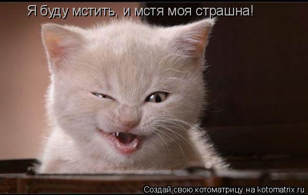 Жора беги из страны