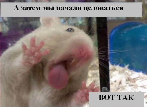 Смешные картинки