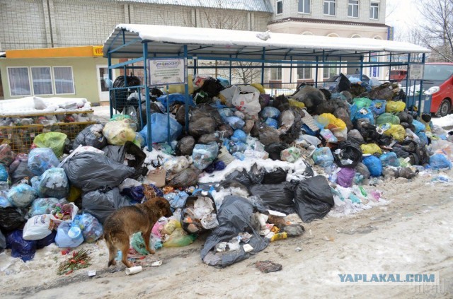 Oдна на свете существуешь, тоталитарная страна!