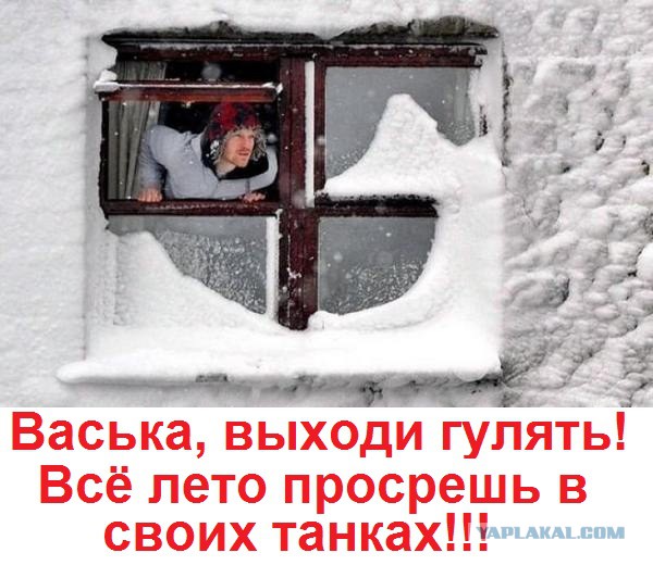 Подборка интересных и веселых картинок