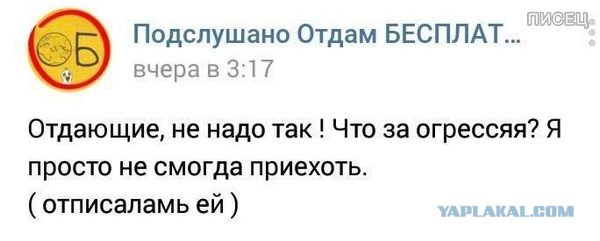 Что они пишут?!