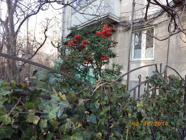 Снежный ад в Москве - большой фотоотчет