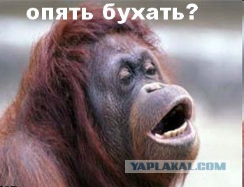 Фотокомикс: А куда ушла жена?