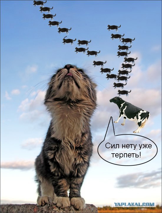 А мне летать охота... Эх!