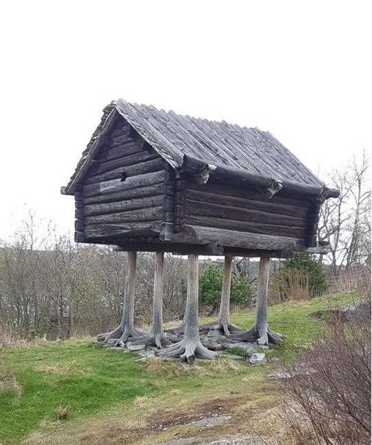 Картинки по-приколу