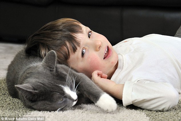 Бездомный кот помог мальчику-аутисту