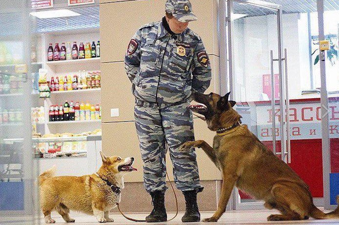 История и роль в обществе