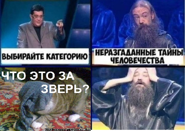 Бредзона на 11 апреля 2020г