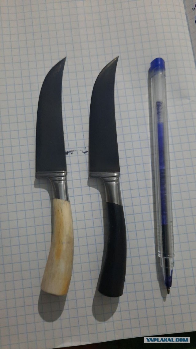 Продам Пчаки