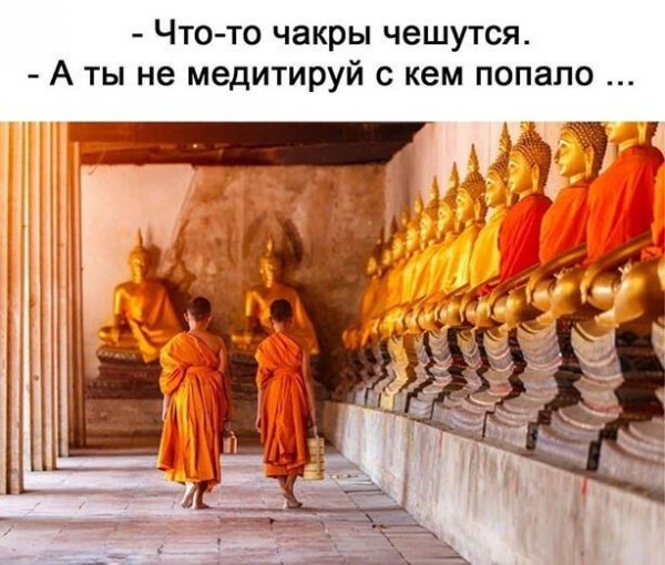 Прикольные и просто красивые картинки 19.11.2020