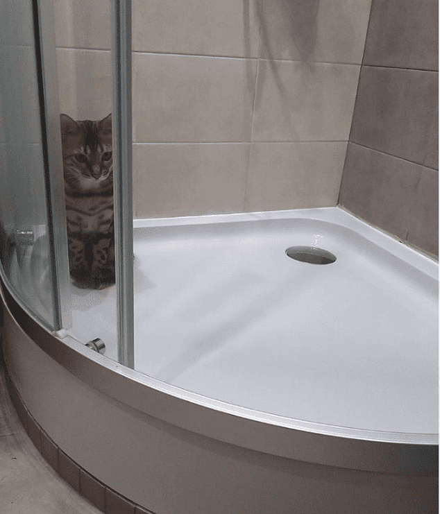 Моя красотка