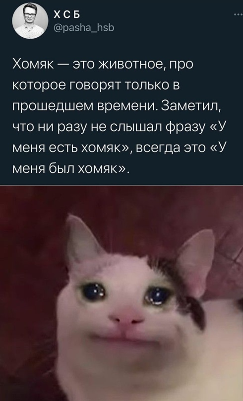 Картинки для настроения 08.02.21