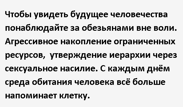 Сотни обезьян устроили разборки с массовой дракой посреди дороги. Не Москва