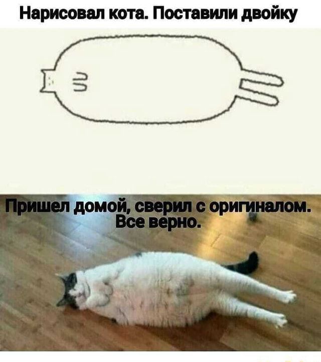 Масса не решила