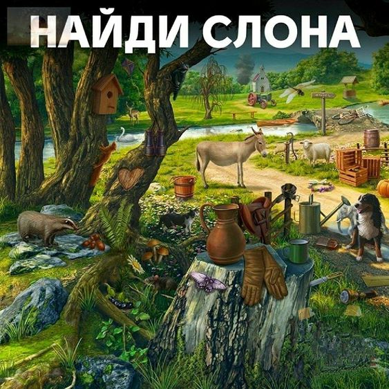 Прикольные и просто красивые картинки 25.07.2023