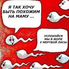 Лучше уже не будет