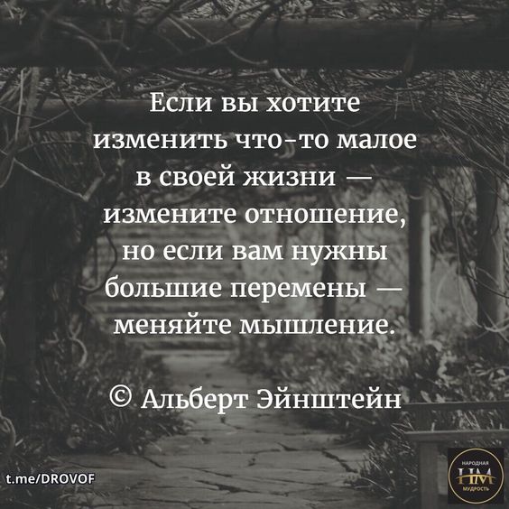 Прикольные и просто красивые картинки 22.10.2024