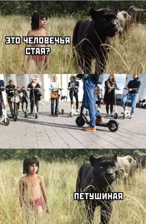 Картиночки, баянчики 21 марта