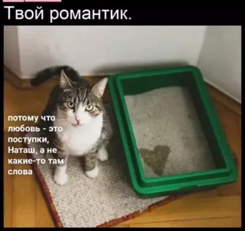 Забавные и не очень скромные картинки - 30