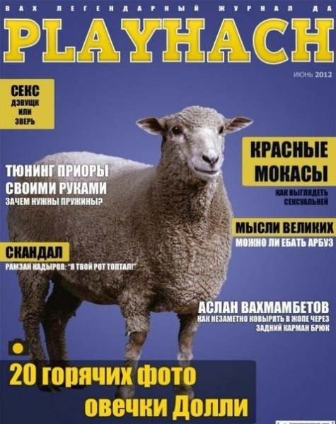Р.Кадыров купит для Чечни VIP-SuperJet