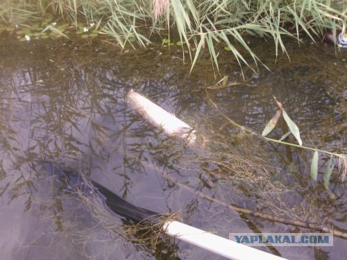 Брат поймал рыбку