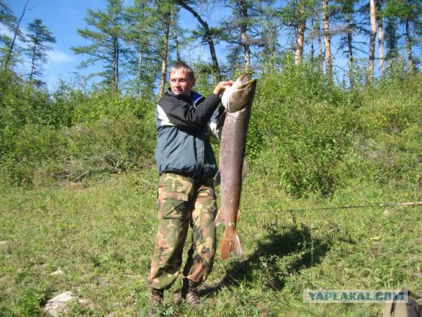 Не нужен нам берег турецкий.