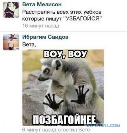 Смешные комментарии из социальных сетей