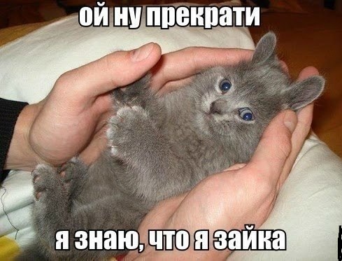 Не про олимпиаду