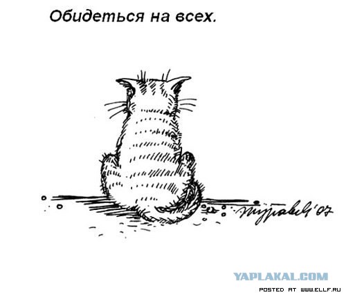 Что должна уметь каждая уважающая себя кошка