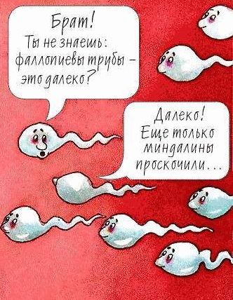 Ученые: Сперма повышает умственные способности
