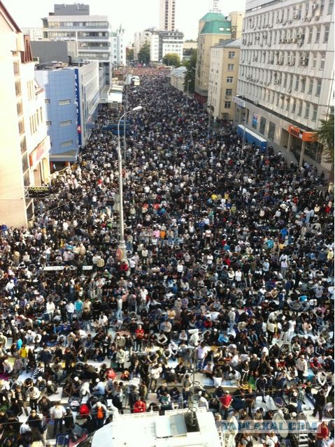 Войска ДНР вошли в Запорожскую область