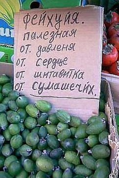 немного маразмов