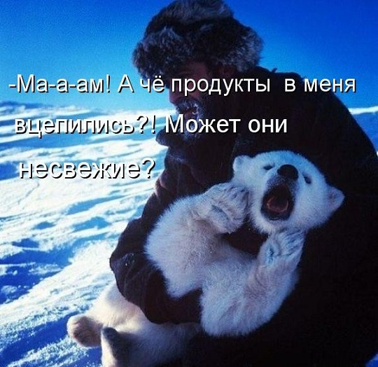 19 диких животных одетых строго по-протоколу