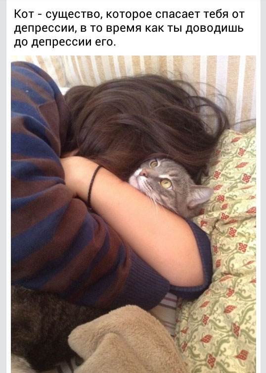 Смешные комментарии 08.03.2015