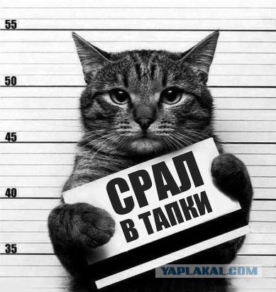 Кто как развелся и кто виноват?