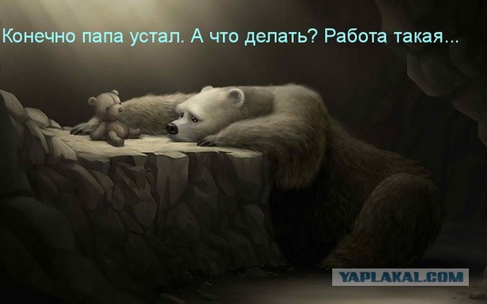 Аллочка, 27 лет, ищет "любовь и отношения"