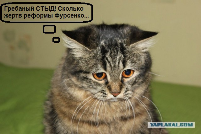 Ну тупые!